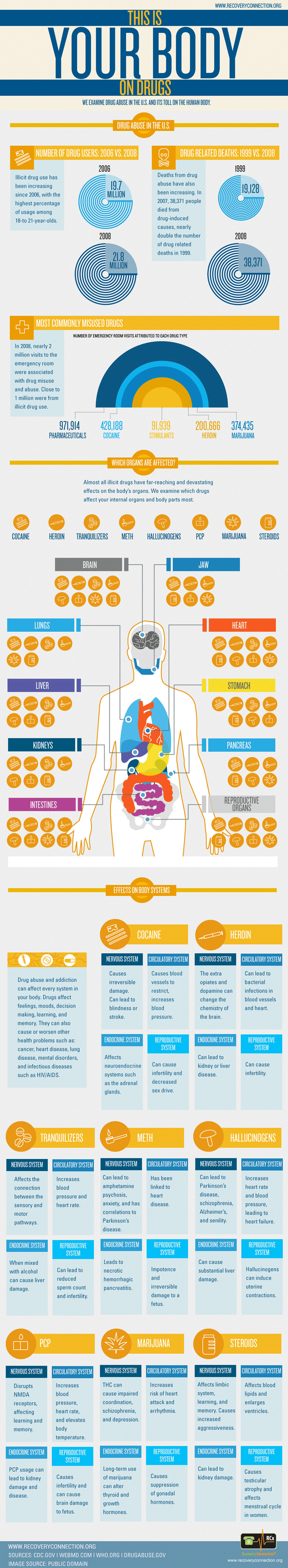 Drug Abuse and Your Body Infographic